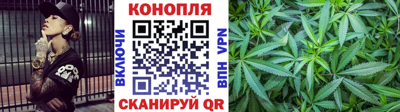 Бошки марихуана сатива  darknet официальный сайт  Калуга 